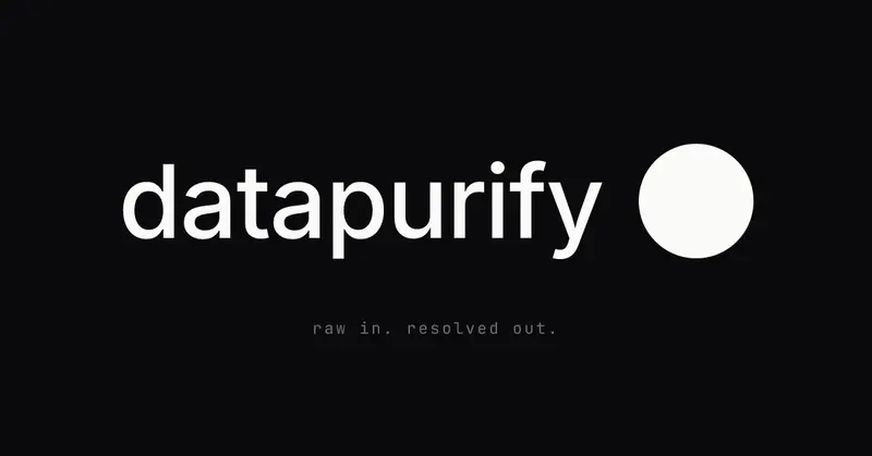 Preview image for DataPurify: Raw data in. Resolved data out.